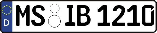 MS-IB1210