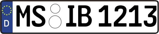 MS-IB1213