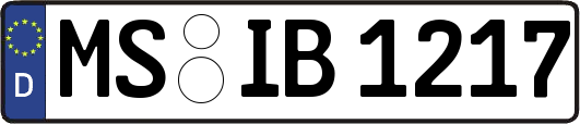 MS-IB1217