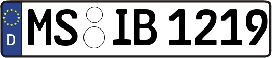 MS-IB1219