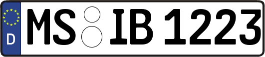 MS-IB1223