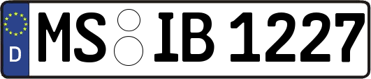 MS-IB1227