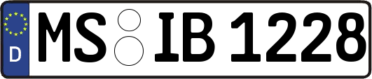 MS-IB1228