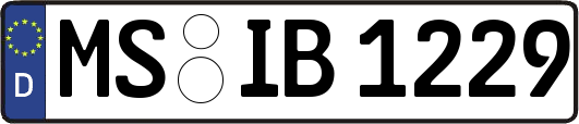 MS-IB1229
