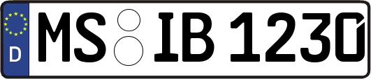 MS-IB1230