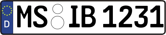 MS-IB1231
