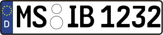 MS-IB1232