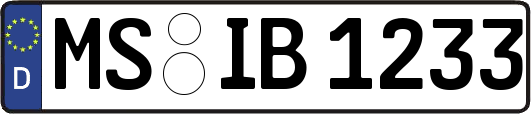 MS-IB1233