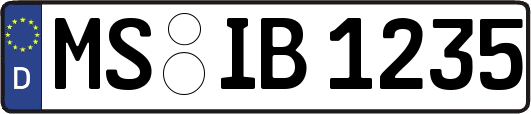 MS-IB1235
