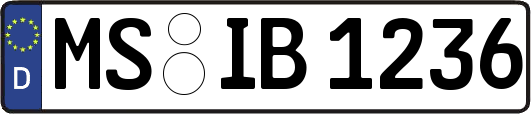 MS-IB1236