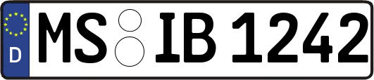MS-IB1242