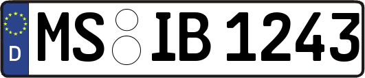 MS-IB1243
