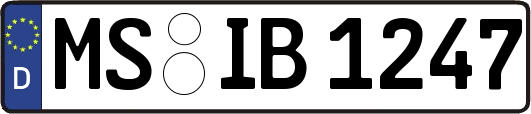MS-IB1247