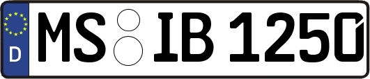 MS-IB1250