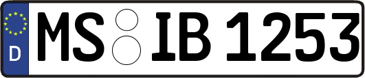 MS-IB1253