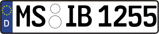 MS-IB1255
