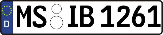 MS-IB1261