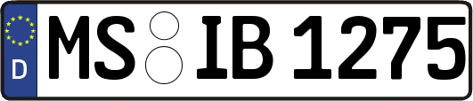 MS-IB1275