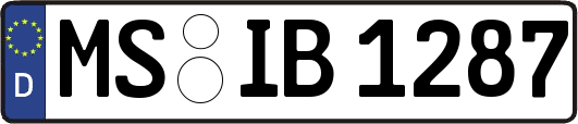 MS-IB1287