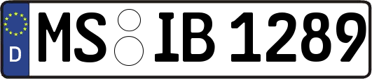 MS-IB1289