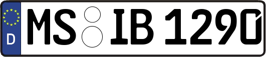 MS-IB1290