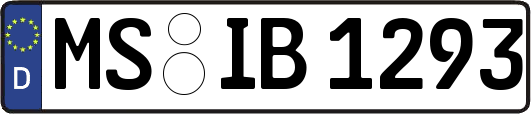 MS-IB1293