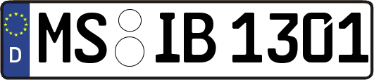 MS-IB1301