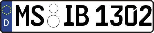 MS-IB1302