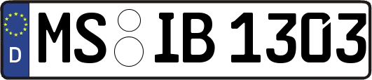 MS-IB1303