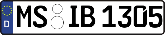 MS-IB1305