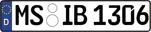 MS-IB1306