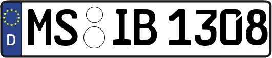 MS-IB1308