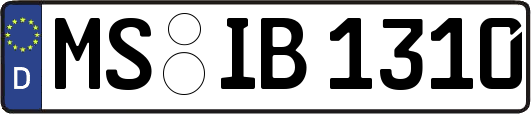 MS-IB1310