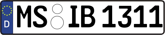 MS-IB1311