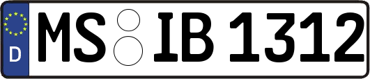 MS-IB1312