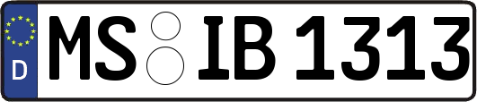 MS-IB1313
