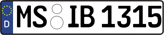 MS-IB1315