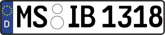 MS-IB1318