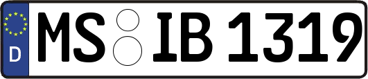 MS-IB1319