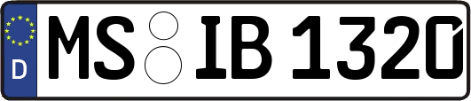 MS-IB1320