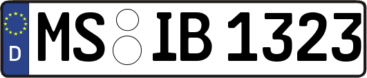 MS-IB1323