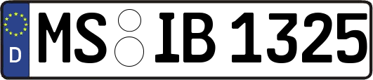 MS-IB1325