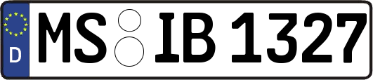 MS-IB1327