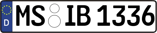 MS-IB1336