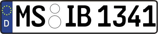 MS-IB1341