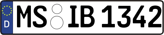 MS-IB1342