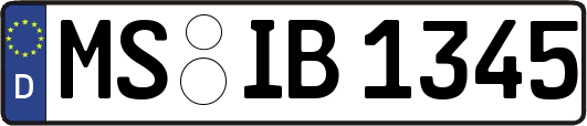 MS-IB1345