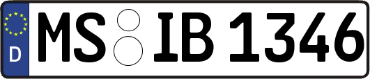 MS-IB1346
