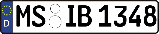 MS-IB1348