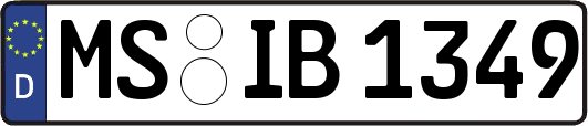 MS-IB1349